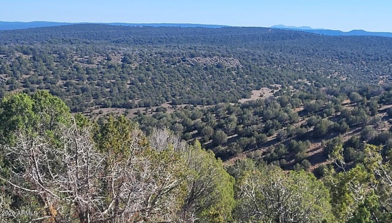 1f4e90de-66cd-4ed8-8c08-e43f7138ae8c