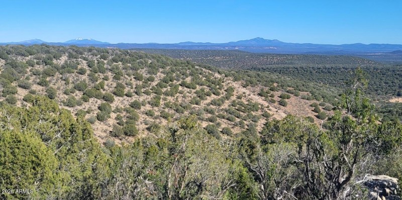 8c425cfb-5d3d-4f0a-b832-cb87b206cf9c