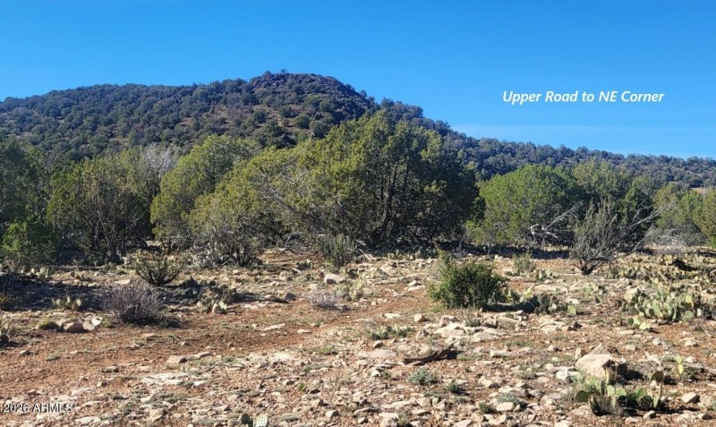 43a61cc1-431a-422f-adb0-521e72ed1214