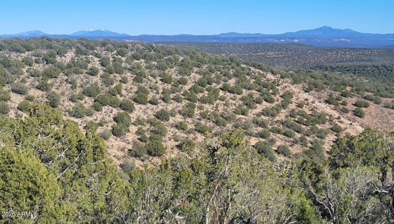 397496d0-0ee9-416d-8aa6-45d4e4f67e45