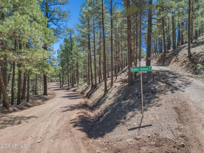 TimberCreekImagery-3