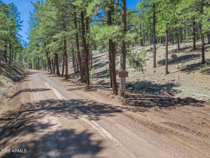 TimberCreekImagery-4