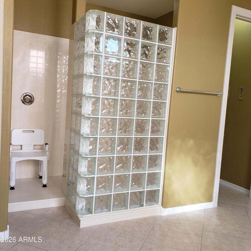 Master walk-in Shower