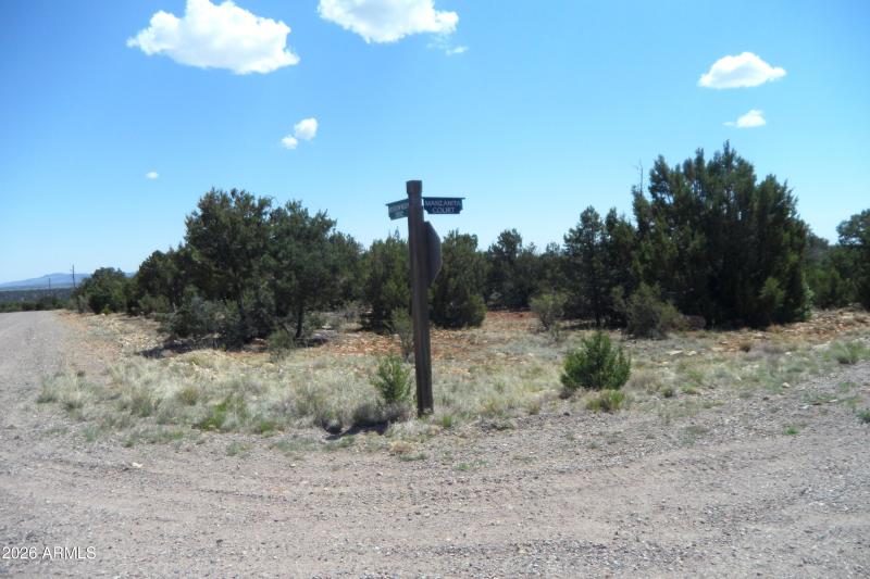 SAM_1761 - Copy - Copy