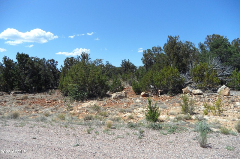 SAM_1766 - Copy - Copy