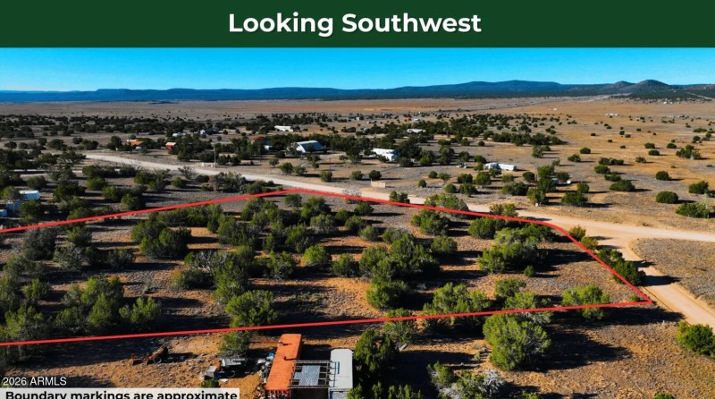 Screenshot 2026-03-25 143213