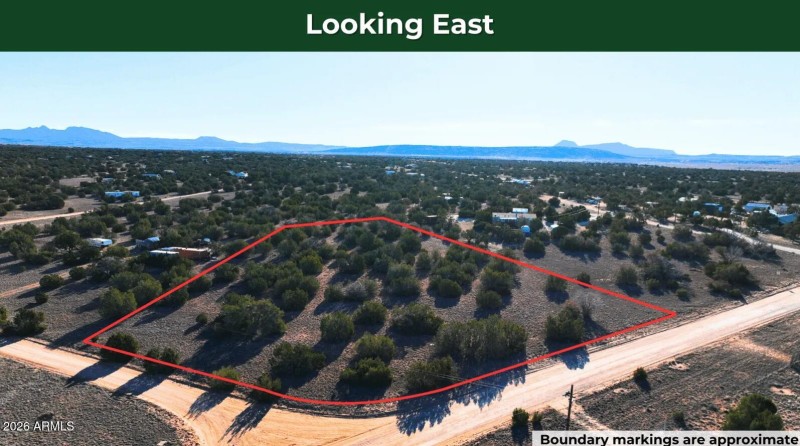 Screenshot 2026-03-25 143102