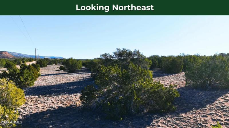 Screenshot 2026-03-25 143041