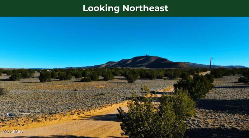 Screenshot 2026-03-25 143021