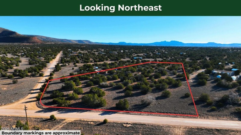 Screenshot 2026-03-25 143003