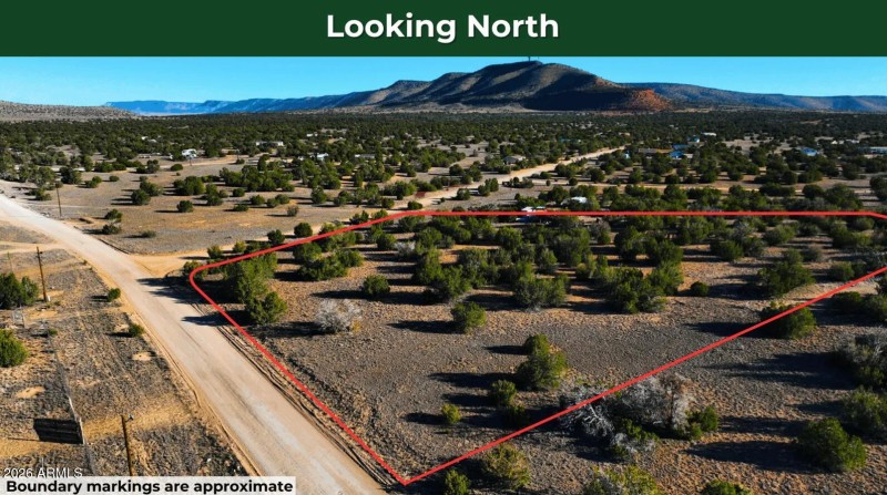 Screenshot 2026-03-25 142902