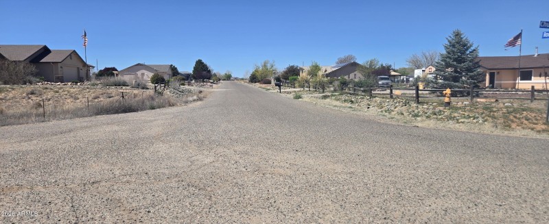 Street View Rocking Horse