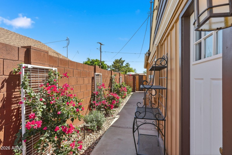 Side yard