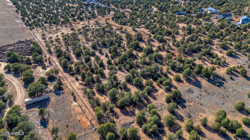 photo(17) Willis Bros Mgmt LLC Lindy 052