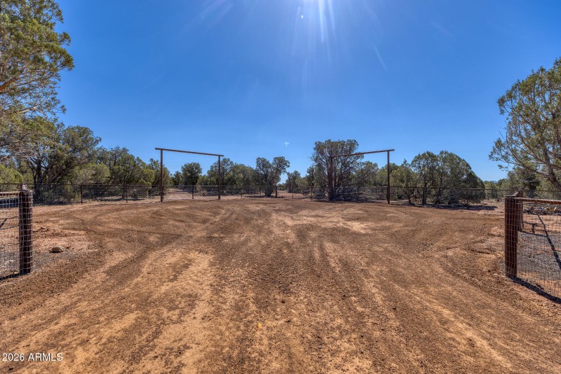 photo(13) Willis Bros Mgmt LLC Lindy 052