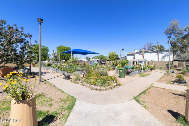Clark Park Community Garden