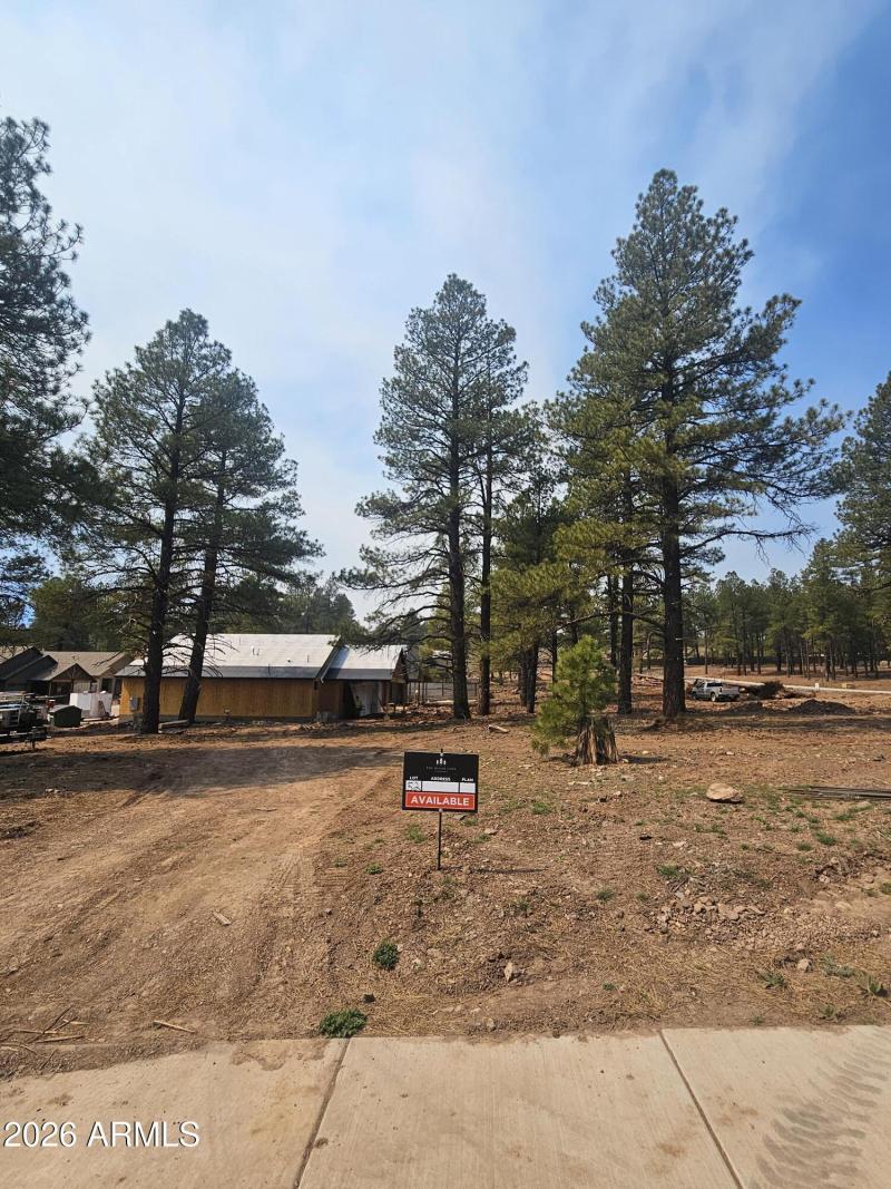 Lot 52