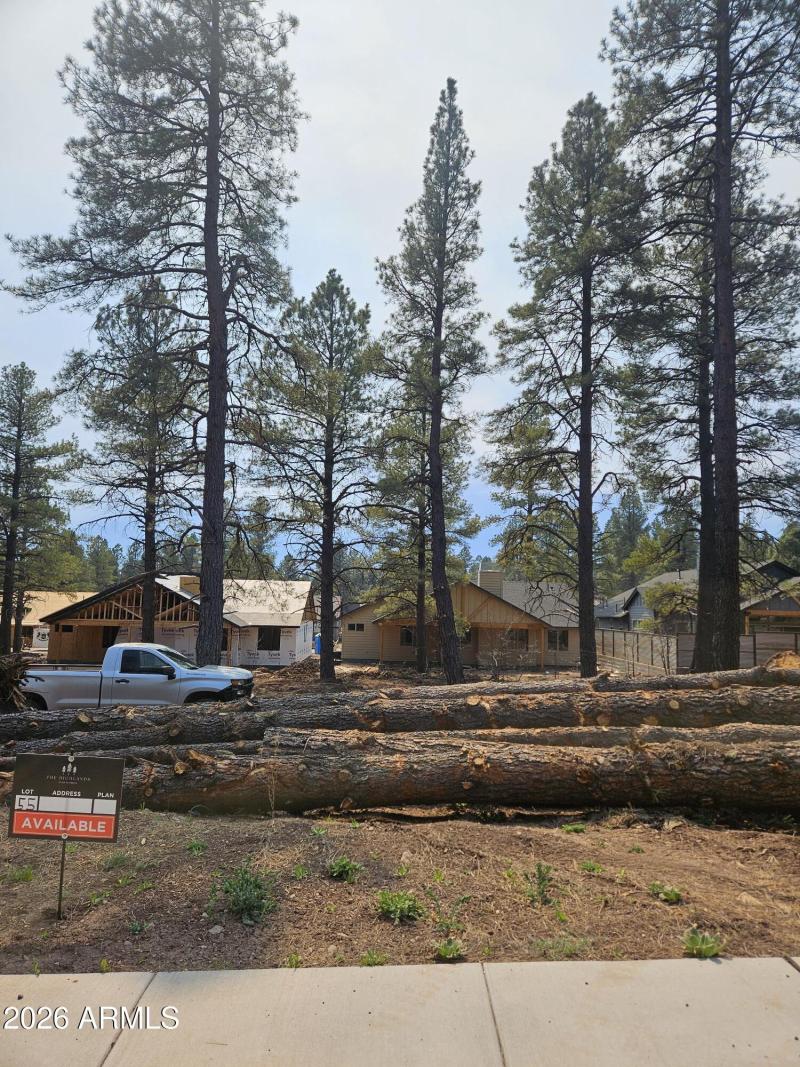 Lot 55