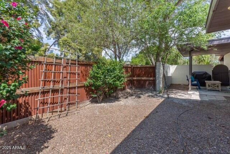 backyard-03