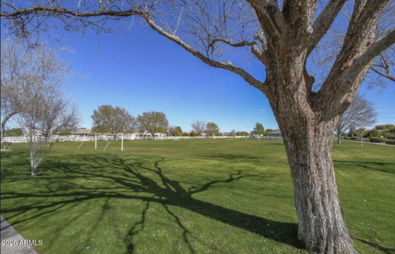 21102 Pummelos - Community2