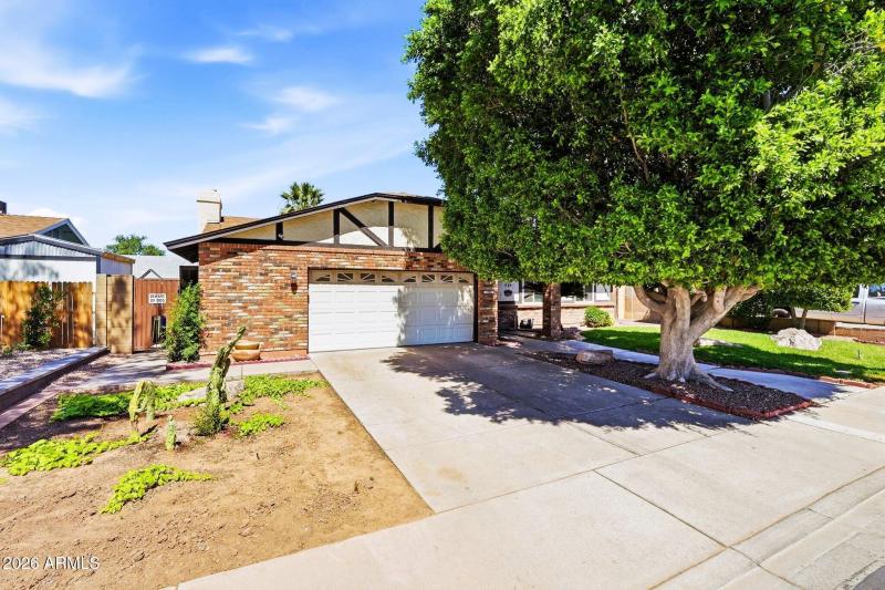 Neighborhood with no HOA!