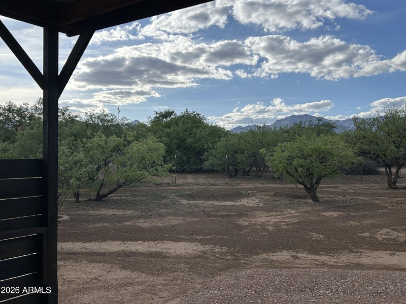 Back patio
