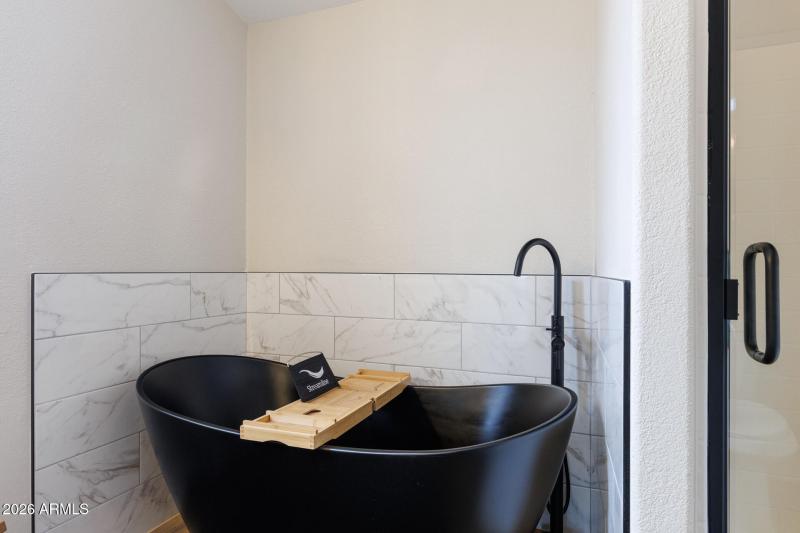 10290 N Katsina - Primary Bath Tub