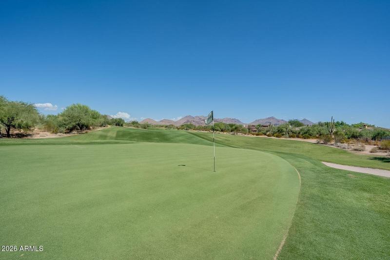 4 - Grayhawk