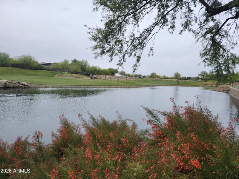 Water Views