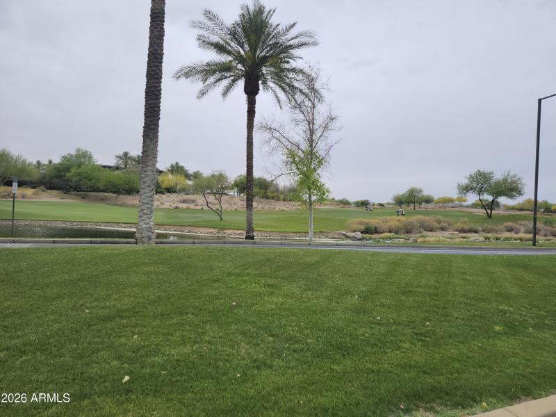 Golf Course