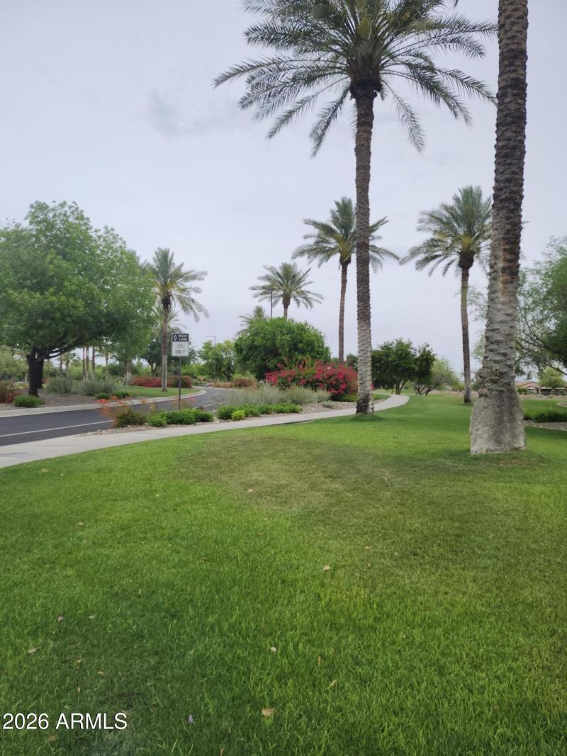Trilogy Neighborhood