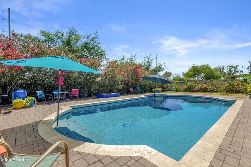 Zoe Ella Pool 6