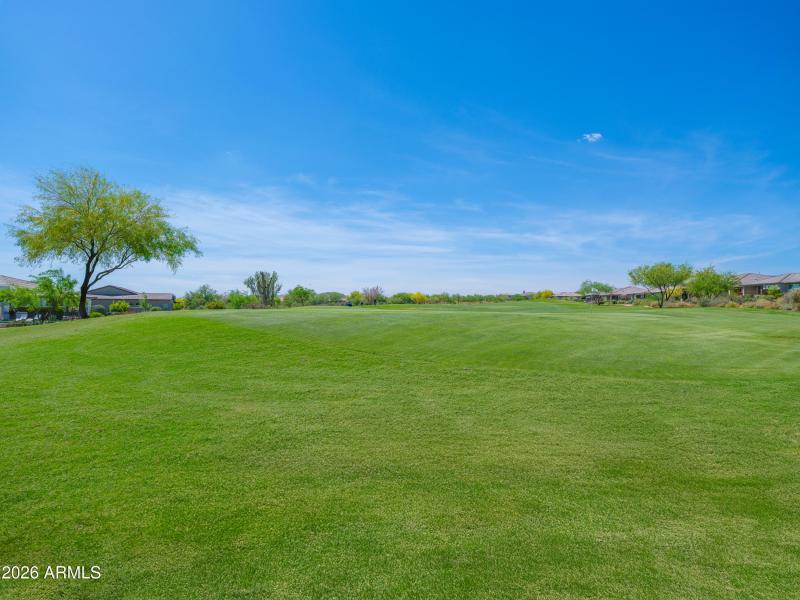 Grass you don’t have to water or mow!