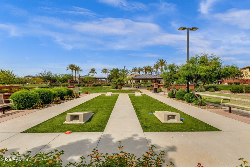 Corn hole