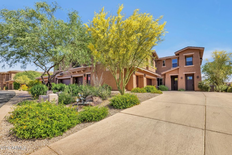 66-web-or-mls-322A2742
