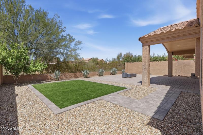 Backyard 2