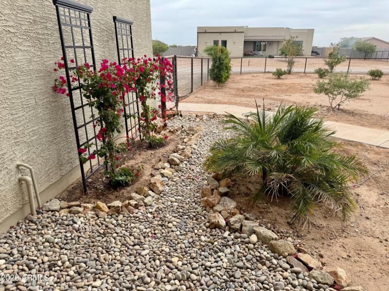Front Landscaping