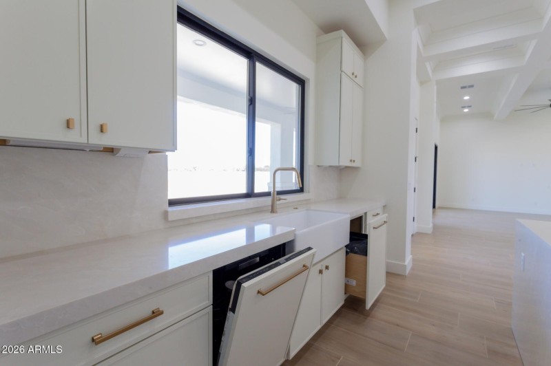 Paneled Dishwasher/Wastebasket
