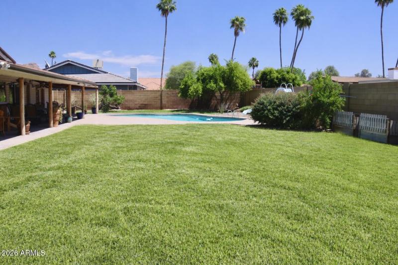 largegrassyard