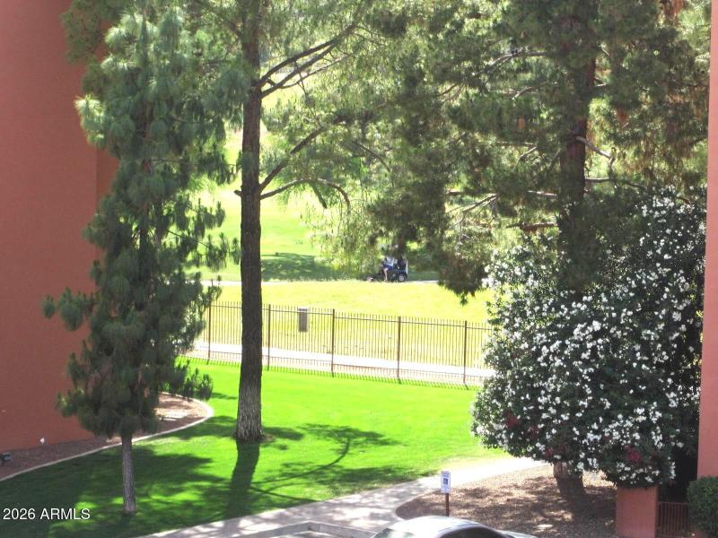 11 419 GOLF COURSE BEYOND