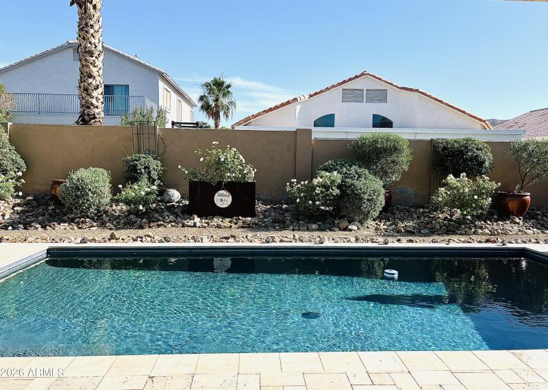 Front View Pool