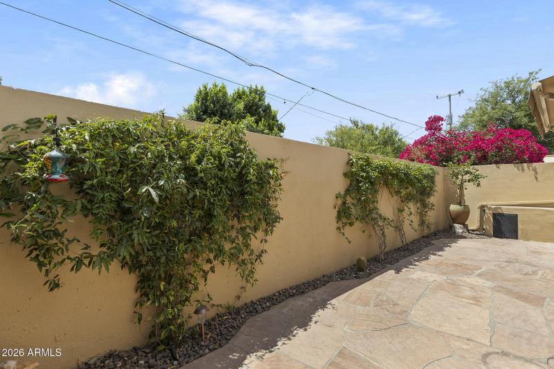 Back Patio