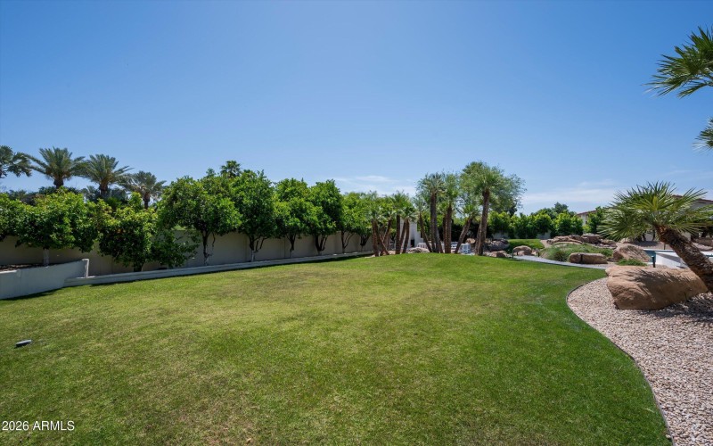 Backyard Oasis