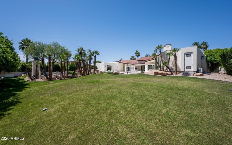 Backyard Oasis