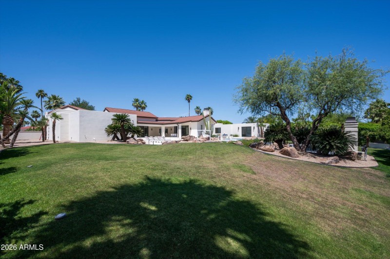 Backyard Oasis