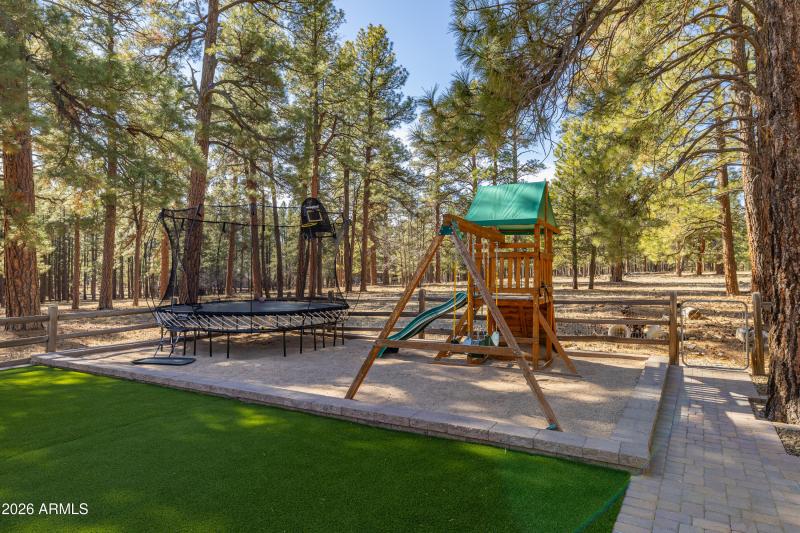 31 CP-9