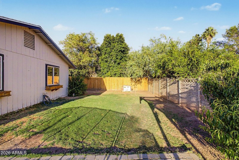 Backyard