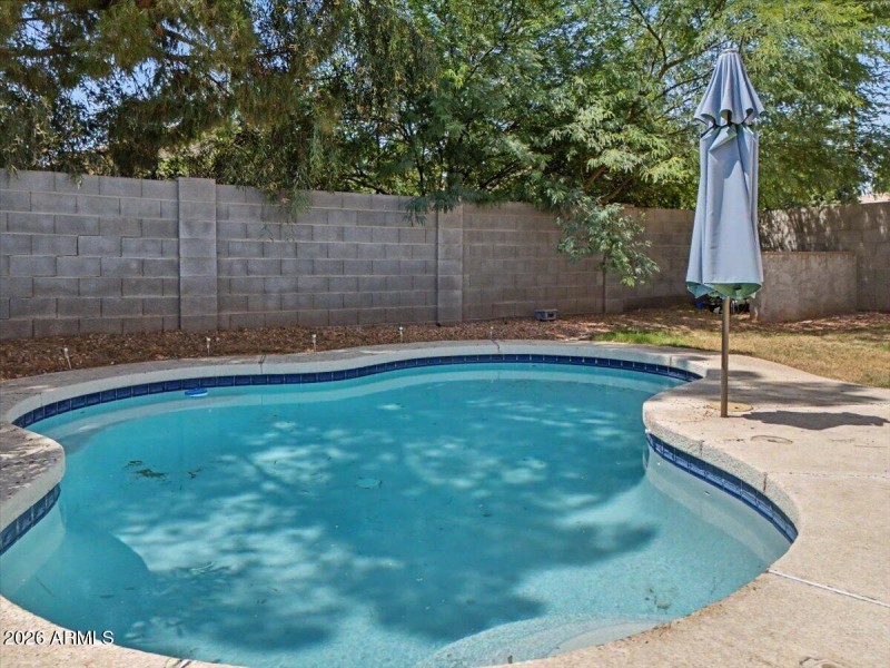 41-Back Patio & Pool