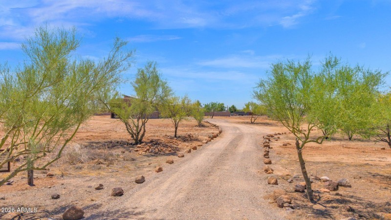 Tree Lined Driveway
