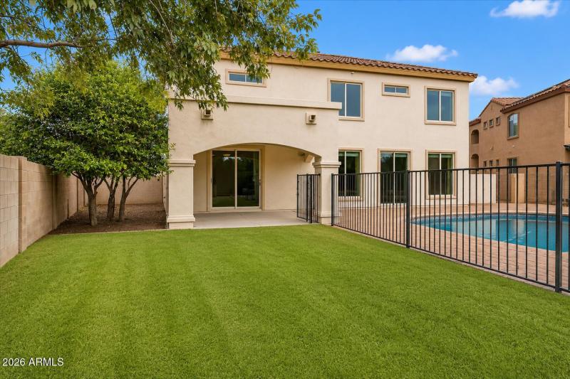 Backyard Lawn and Patio